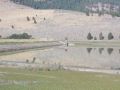 Thumbnail for version as of 16:43, 27 June 2022