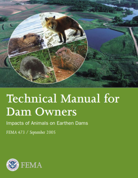 File:FEMA473.png